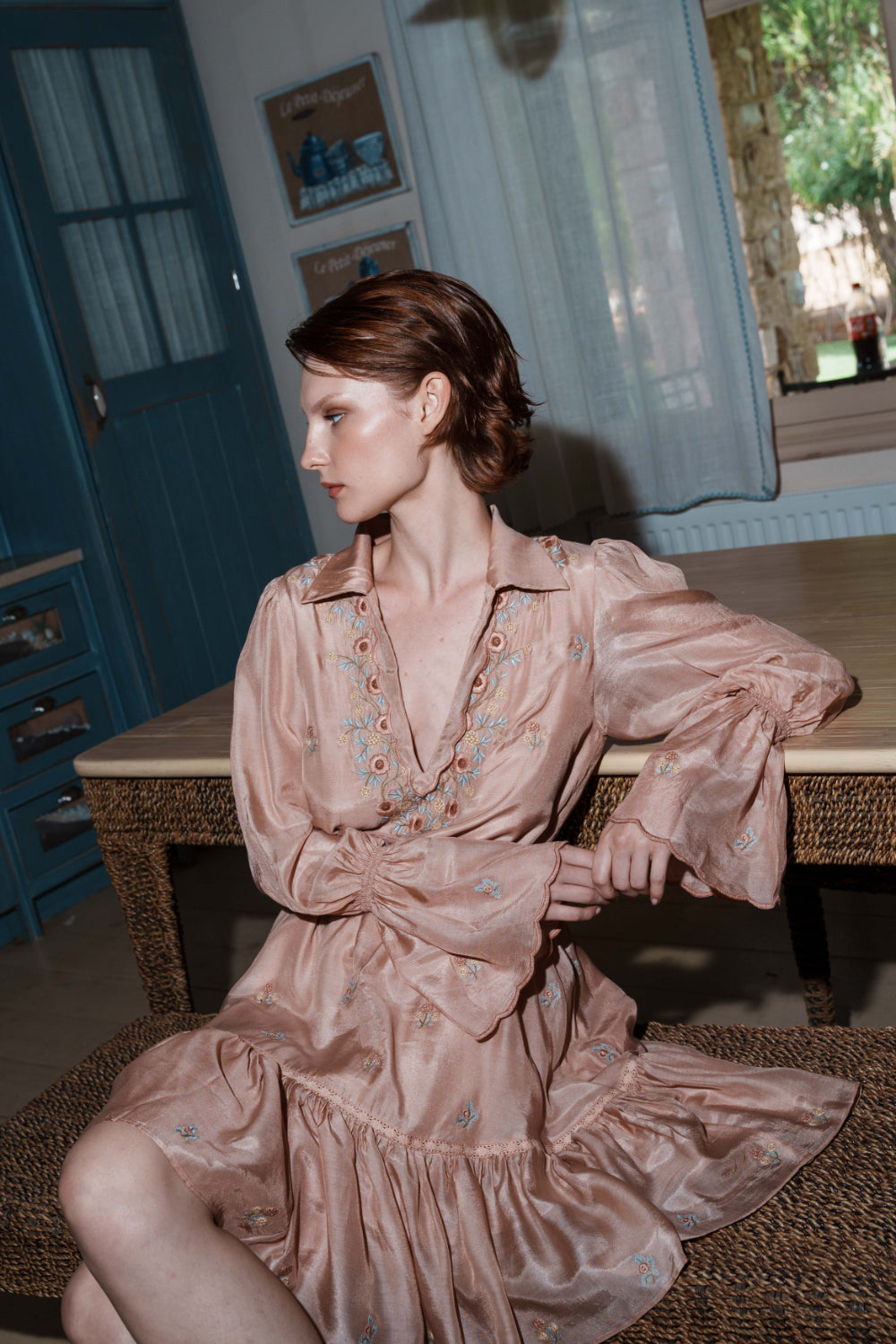 Nude mul ditsy embroidered mini dress