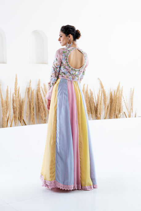 Color block front open kalidar anarkali with printed skirt