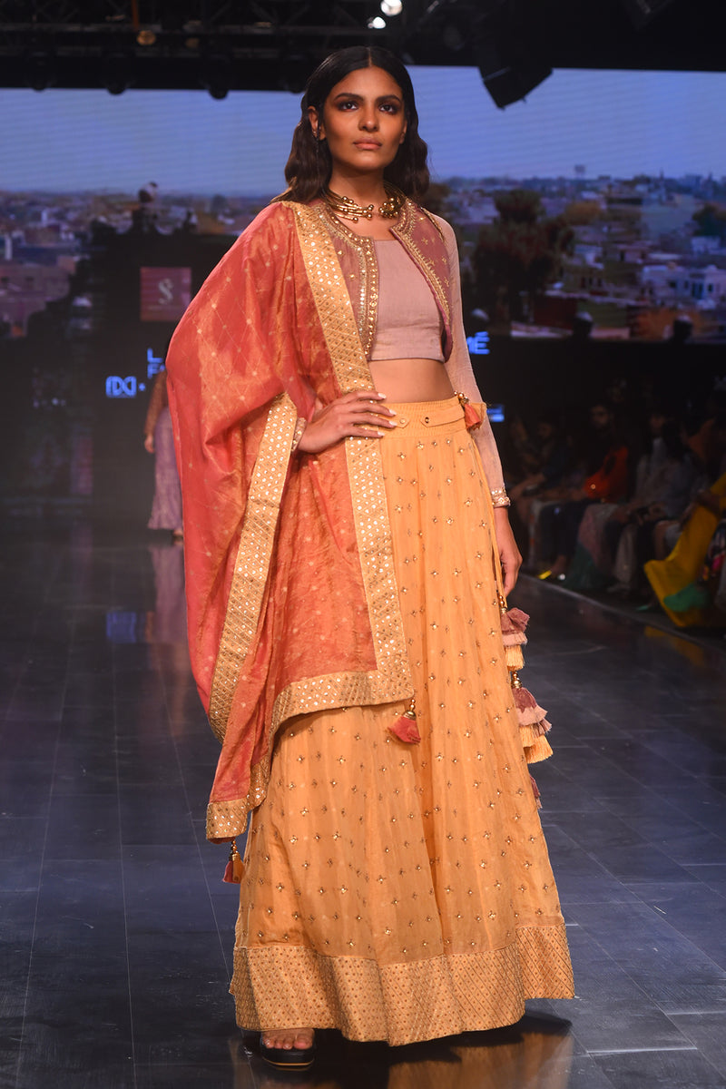 Yellow Danka Tissue Ghagra With Embroidered Koti, Blouse and Rust Embroidered Dupatta